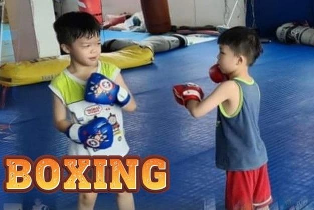 新山拳击新手课 — Ultimate MMA Academy