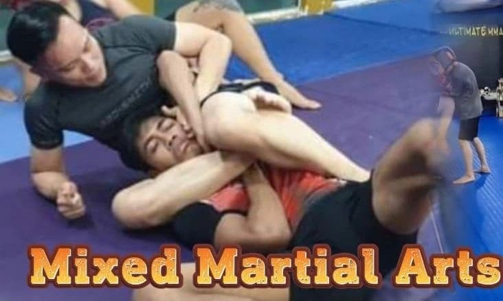 新山 MMA 训练 — Ultimate MMA Academy